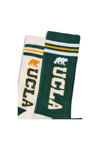 Ucla Ardelle 2'li Ekru-yeşil Uzun Jakarlı Pamuk Standard Fit Unisex Çorap