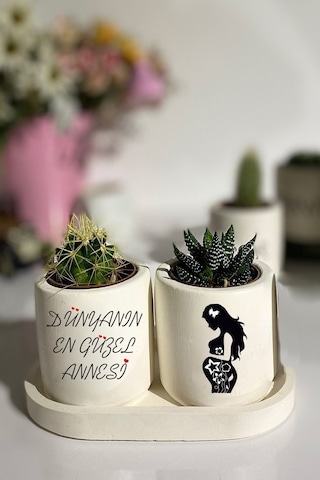 Tabaklı Dünyanın En Güzel Annesi Baskılı Mini Saksı Seti Hediyelik Dekoratif Anneler Günü