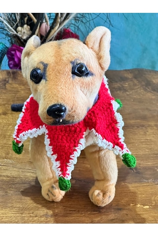 El Örgüsü Noeltasma Kedi Tasma Köpek Tasma Bağlamalı