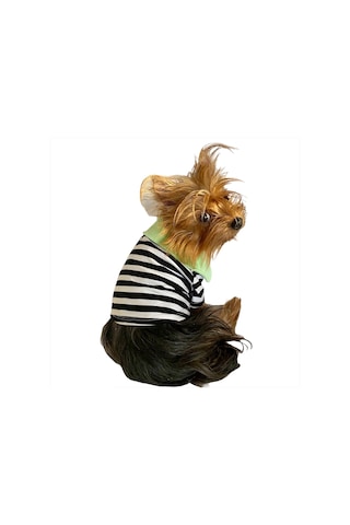 Kemique Grass Hopper Stripe Polo Yaka Köpek Tişörtü