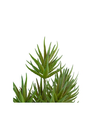 Yapay İğne Yapraklı Sukulent Demeti Mat Açık Yeşil 34 Cm-10922