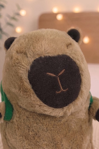 Capybara Figürlü Peluş Oyuncak Çok Renkli