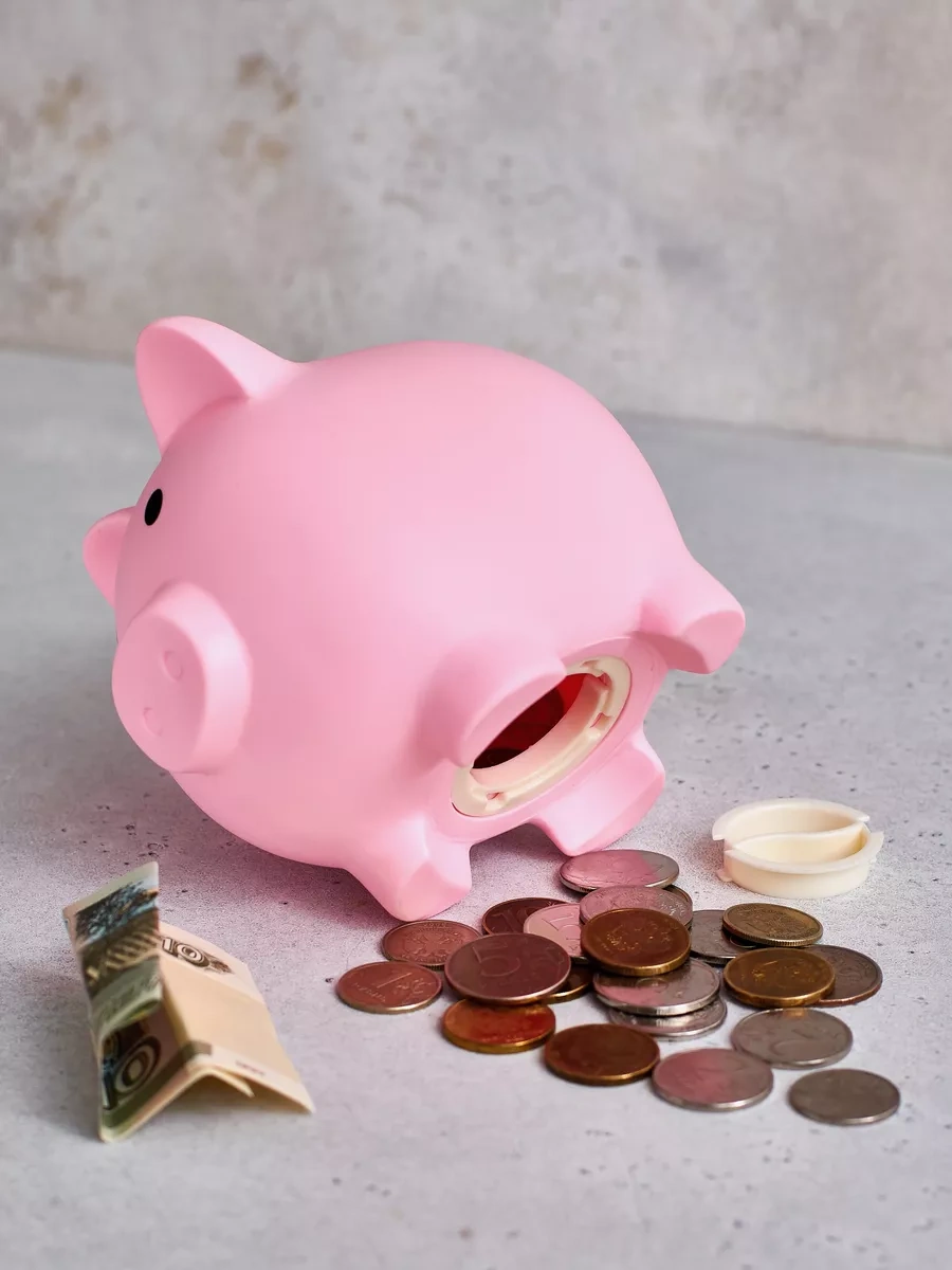 Familylove Çocuklar İçin Para Ve Madeni Para Kumbarası Domuz 182323685