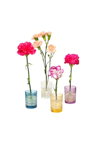 Flora Design- Minimal Şeffaf Yaprak Kesme Cam Vazo Şeffaf