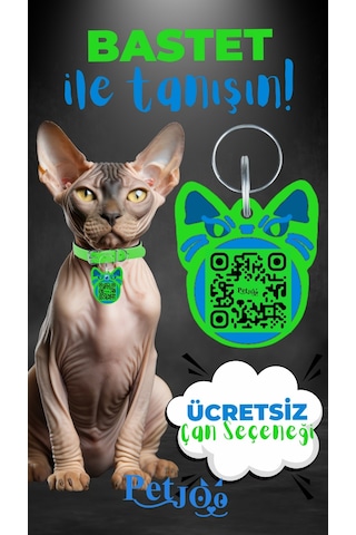 Petjoo 1.Bastet Mavi-Yeşil Qr'lı Kedi Künyesi