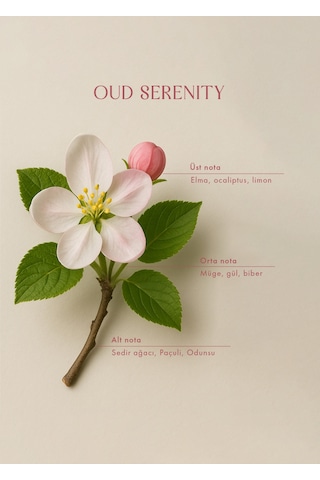 Bella Maison Oud Serenity Soya Wax Kokulu Mum Amber 120 Gr Amber