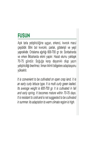 Agrodal Tarım Ata Tohumu Yerli Kıvırcık Marul Füsun 1000 Adet Tohum