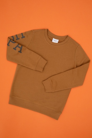 U.S. Polo Assn. Erkek Çocuk Camel Bisiklet Yaka Basic Sweatshirt 50313831-VR233