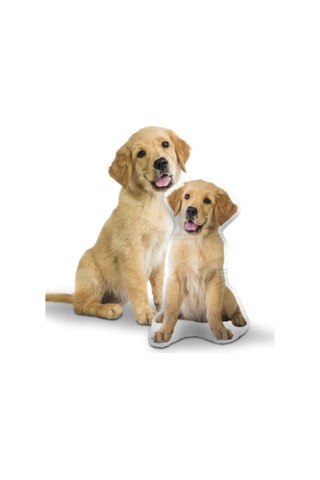 Kişiye Özel Kedi Köpek Evcil Hayvanınıza Özel Yastık Çok Renkli