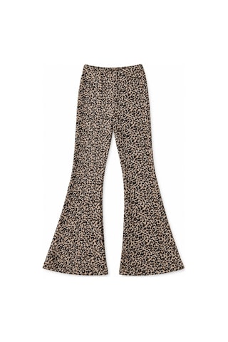 Bym Style Kız Çocuk Tayt Kaşkorse Likralı Leopar Desenli İspanyol Paça Lastikli Bel Çok Renkli