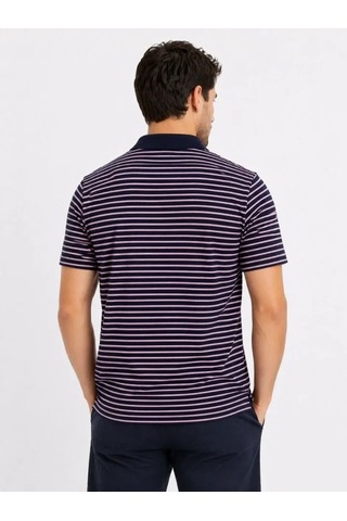 Defymoda Erkek Pike Kumaş Gül Kurusu Çizgili Polo Yaka Tişört Kısa Kol T-shirt - Siyah
