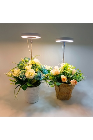 Mufunye 3/9/12h Zaman Ayarlı, Parlaklık Kontrollü Mini Led Daire Lamba - İç Mekan Bitki Yetiştirme Işık Sistemleri