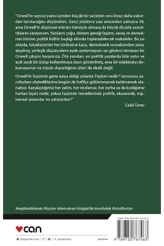 Bir Fili Vurmak