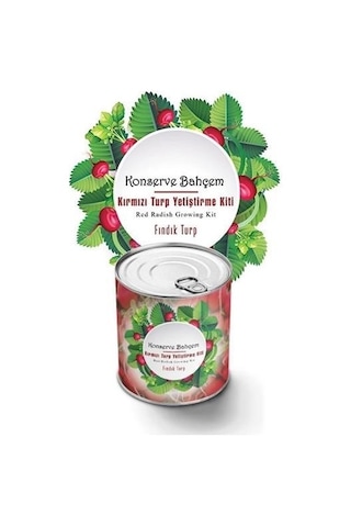 Buffer Konserve Bahçem Evde Konservede Fındık Turp Yetiştirme Kiti Mavi