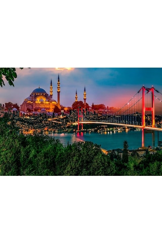İstanbul Camii Manzara Ev Duvar Salon Güzellik Salonu Ofis Dükkan Dekarasyon Kanvas Tablo