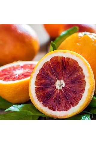 3 Yaş Aşılı Kan Portakalı Fidanı