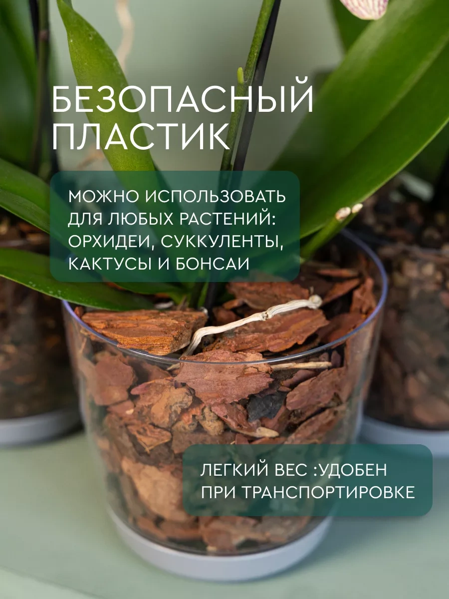 Elly Home Orkide İçin Büyük Şeffaf Saksı 171430256