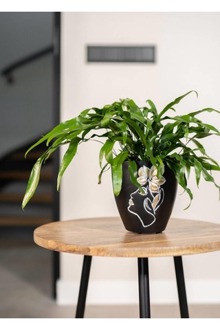 Lea İnsan Figürlü Siyah Metal Saksı Çap 16cm Yükseklik 17cm