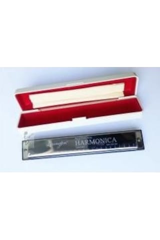 Lexington Professional Harmonica C do - Mızıka - 24 Delikli