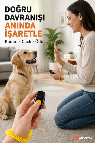 Köpek Eğitim Clicker Bilek Askılı Sesli Eğitim Aparatı