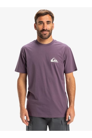 Quiksilver Quıksılver Vıntage Vıolet Ev Mını Logo Ss Erkek T-shırt Eqyzt08042-pqc0 Mor