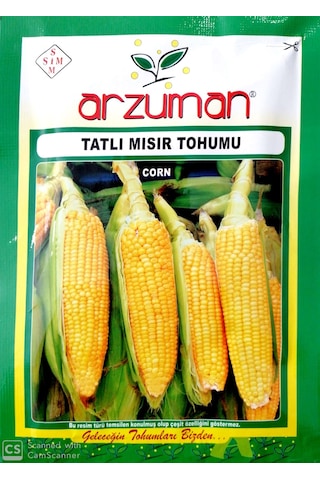 Tatlı Mısır Tohumu 25 GR Hibrit Şeker Mısır
