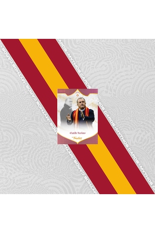 Galatasaray 2025-26 Sezon Kartları - Kutu