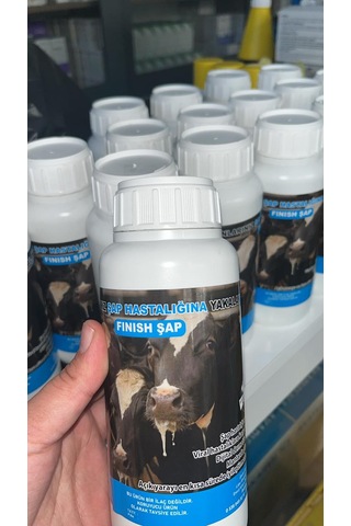 Fınısh Şap Şapa Son 600 Ml