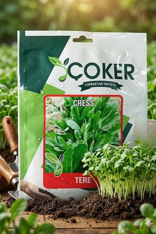 Çoker Tere Tohumu 25 Gr