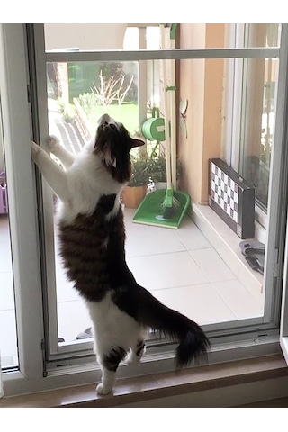 Yırtılmaz Kapı Kedi Tülü Ped Tül En: 100 Cm X Boy:230 Cm & + 6m Fitil 100x230 + 6m Fitil