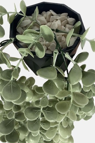 Yapay Çiçek Elmas Siyah Saksıda Pastel Yeşili Okaliptus Sarkıtı Çok Renkli