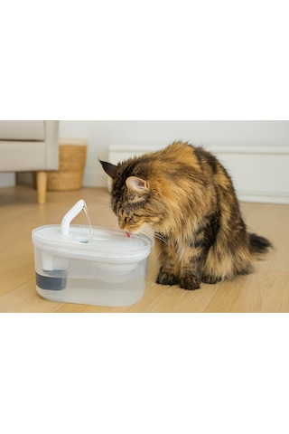 Cans Arıtmalı Kedi Su Sebili 2.5 Lt - Sessiz Motorlu, Karbon Filtreli Ve Hijyenik Su Kaynağı