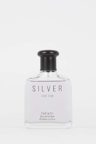 Defacto Erkek Silver Aromatik 100 ML Parfüm Y2391AZNSSR3