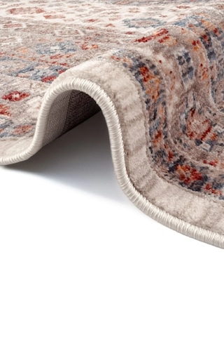 Hoom Rugs Otantik 2602 Renkli Vintage Desenli Salon Halısı Çok Renkli