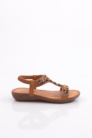 Dgn 2045 Kadin Sandalet Taba