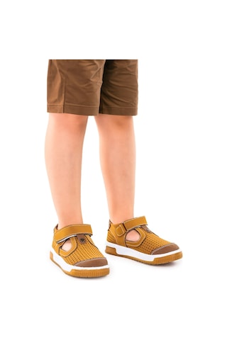 Kiko Kids Erkek Çocuk Günlük Ayakkabı Arz 2319 Taba