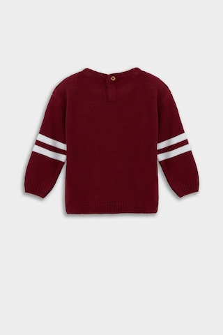 Defacto Erkek Bebek Bisiklet Yaka Baskılı Kazak F2480a525aubr285 Bordo