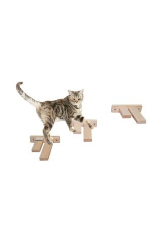 Doğal ahşap çift basamaklı kedi merdiveni kedi köprüsü duvar 5li