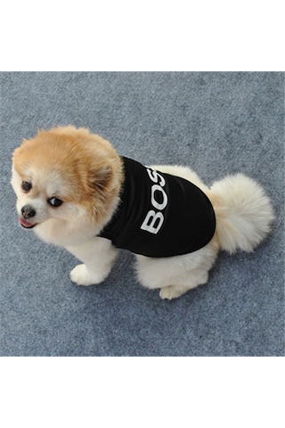 Köpek Ve Kedi İçin Pet Boss Siyah Sweat Tshirt Kıyafet