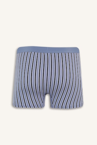 DeFacto Regular Fit Çizgili 3'lü Boxer E7203AX25SMNV135