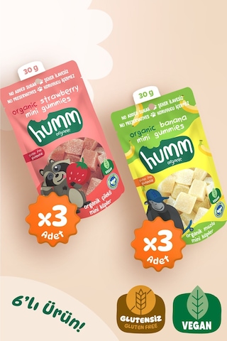Hummorganic Organik Glutensiz Vegan Mini Küpler Atıştırmalık Paketi - 6 adet (2 çeşit)