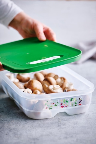 Tupperware Sera Serisi Kısa Gövdeli Kap 1.8 L Yeşil