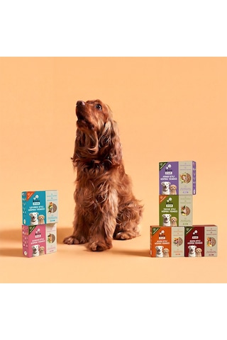 Kito Fresh Köpek Yemeği Tanışma Paketi 6'lı