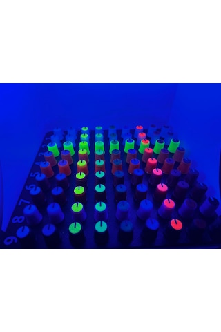 Mottopi Dragon Eye Knob Çok Renkli Universal Dj Ekipmanı, Yön Ayarlı, Her Midi İle Uyumlu, 1 Adet