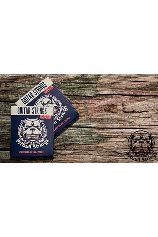 Pitbull Strings Gold Series Gag 12-53 L Takım Tel Akustik Gitar T