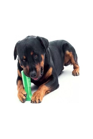 Köpek Diş Kaşıyıcı Isırma Aparatı Et Aromalı Büyük Boy