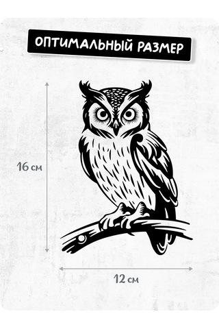 Stadi İç Mekan İçin Dekoratif Çıkartma Buçuk 223576726 Siyah