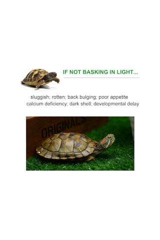 Ximistore9 Kertenkele Isı Lambası, Güneş Işığı Simülasyonu, E27 Uç, 75w Ampul, Esnek Hortum, Beyaz, Abd Standartı Beyaz