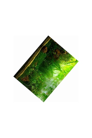 Qingmipy Akvaryum Su Bitkileri Desenli Pvc Arka Plan: Kalın, Su Geçirmez, Kendine Yapışkan, Doğal Görünüm 91x50 Cm