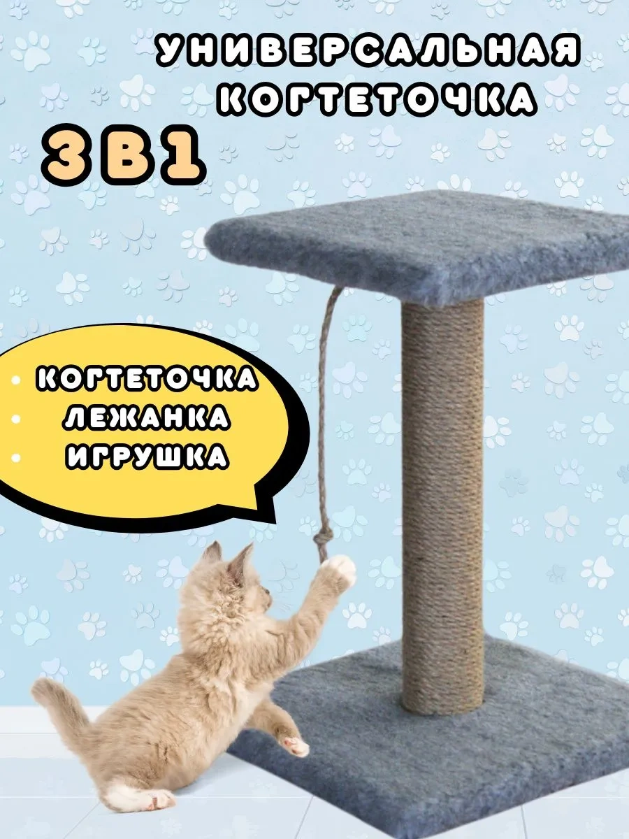 Mr Cat Yavru Kediler İçin Tırmalama Direği 416470854